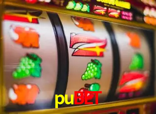 A Experiência Imersiva dos Cassinos Ao Vivo no pubet