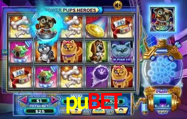 Promoções Sazonais pubet