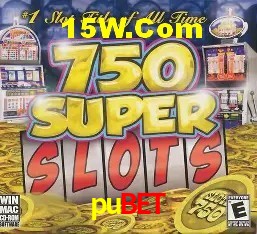 Sistemas de Segurança pubet