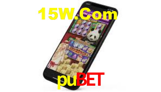 pubet,pubet.com