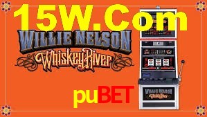 Explore as vantagens do pubet: serviço profissional e confiabilidade