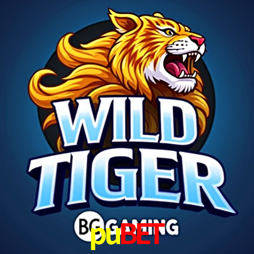 Inovações de Jogos na pubet: O Futuro das Experiências Interativas