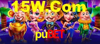 Premium Interface pubet